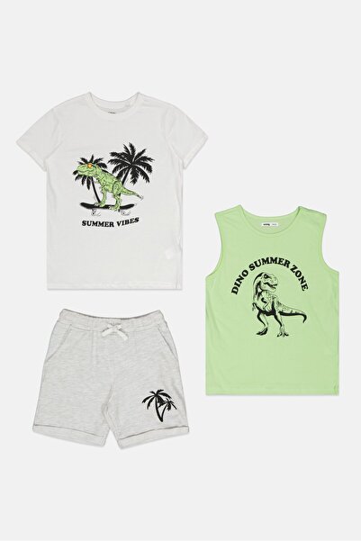 Sinsay Kids Boy 3 pc Graphic Print T-shirt And Shorts, White/Lime Green/Grey