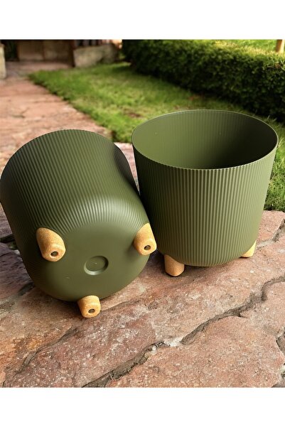LeesHome 2 adet Yeşil Derin Ayaklı Orkidelik Saksı 16lt 31,5x31,5cm