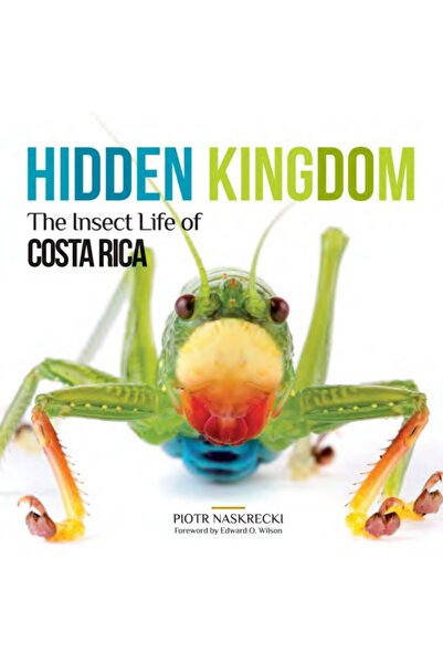 Comstock Ed Inc Hidden Kingdom: The Insect Life of Costa Rica