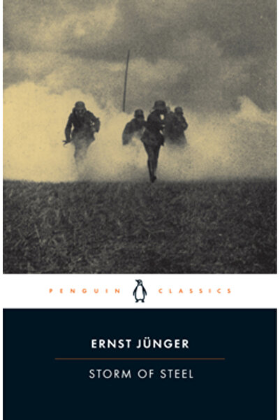 Penguin Books Storm of Steel