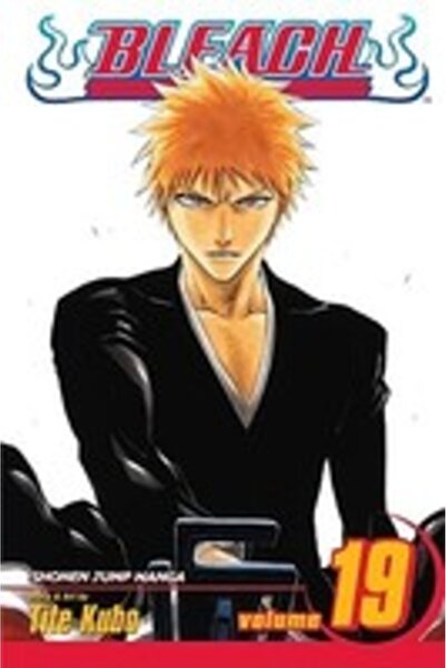 Viz Media Bleach, Volume 19