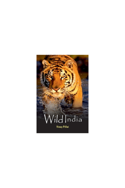 Hawk Pr Wild India
