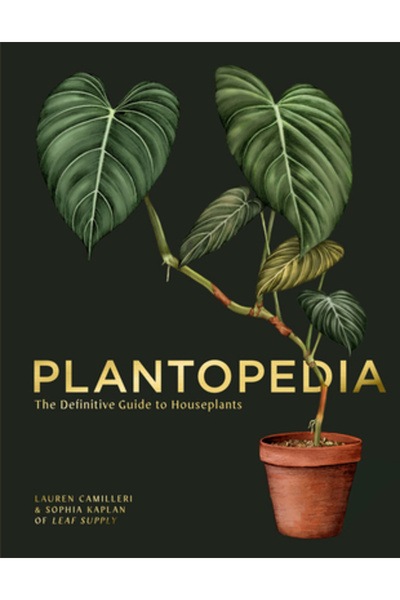 Smith Street Books Plantopedia: The Leaf Supply Guide to House Plants