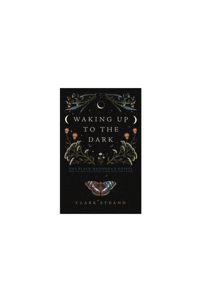 Monkfish Book Pub Co Waking Up to the Dark: The Black Madonna's Gospel for an...