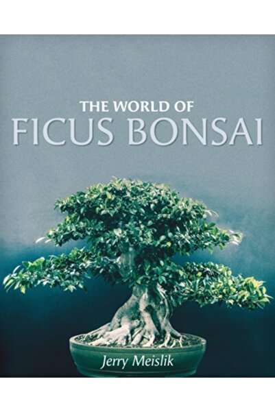 Friesenpr The World of Ficus Bonsai