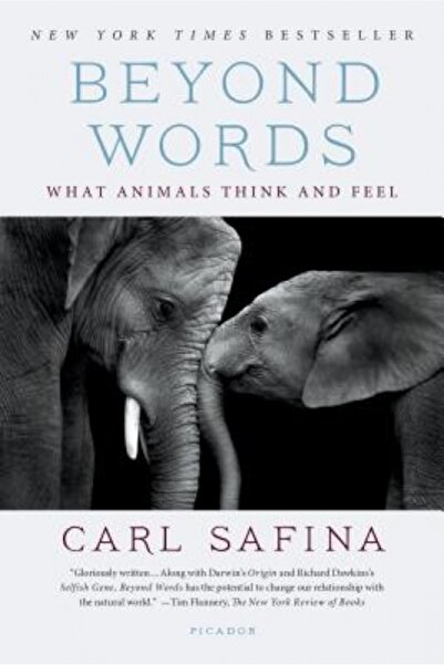 GENERAL BOOKS Beyond Words: What Animals Think and Feel