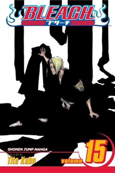 Viz Media Bleach, Volume 15