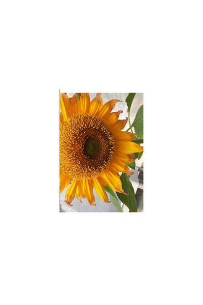 Blurb Inc Tahsis Inlet Outlet Revival Anthology 2020 Black and white Edition: Green Antler presents 2020 colle