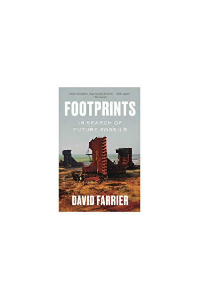 Picador Footprints: In Search of Future Fossils