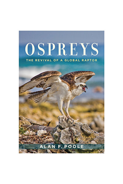 Johns Hopkins Univ Pr Vulturi pescari: Renașterea unui răpitor global