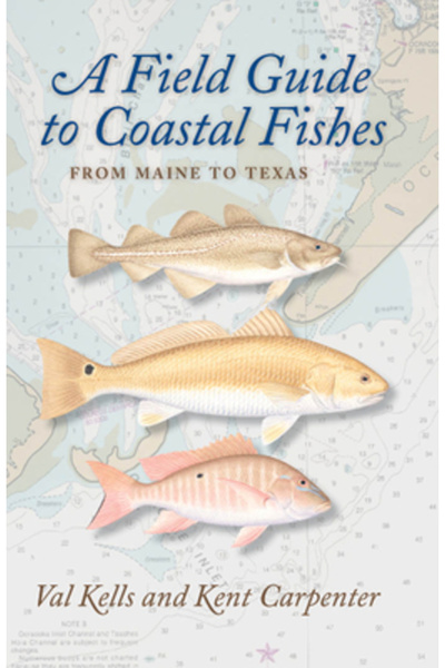 Johns Hopkins University Press Un ghid de teren pentru peștii de coastă: din Maine până în Texas