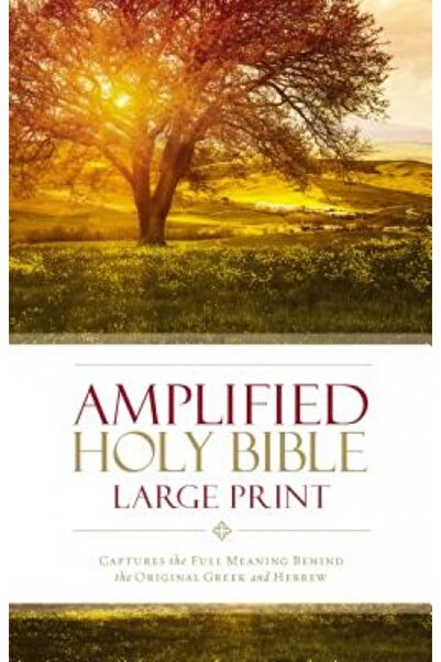 Zondervan Pub House Amplified Bible-Am-Large Print: Captures the Full Meaning...