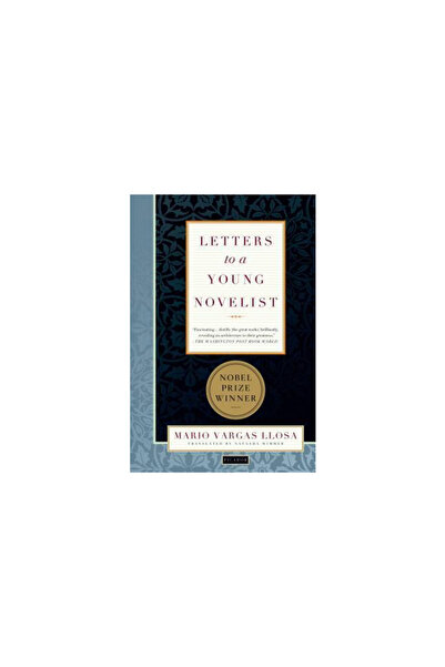 Picador USA Letters to a Young Novelist
