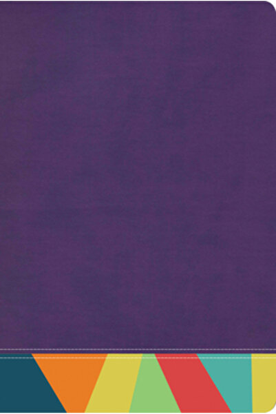 B&H Espanol Rvr 1960 Biblia de Estudio Arco Iris, Morado/Multicolor