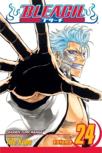 Viz Media Bleach, Volumul 24 [Cu autocolant]