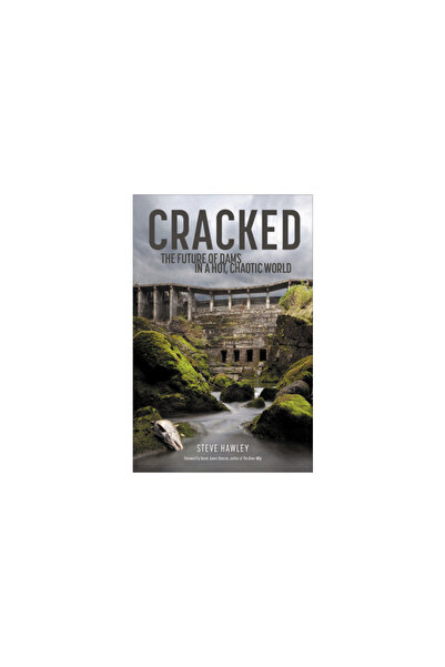 Patagonia Inc Cracked: The Future of Dams in a Hot, Crazy World