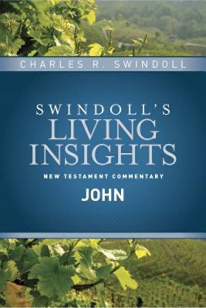 Tyndale House Publ Insights on John
