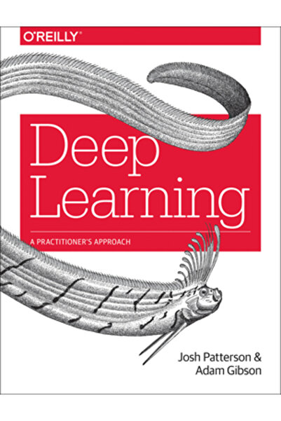 Transaction Publ Deep Learning: A Practitioner's Approach