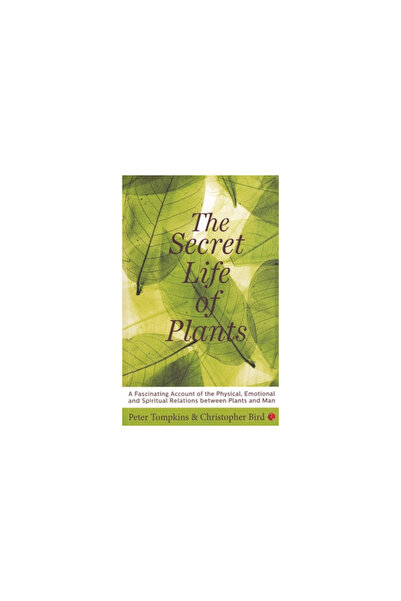 Rupa The Secret Life of Plants