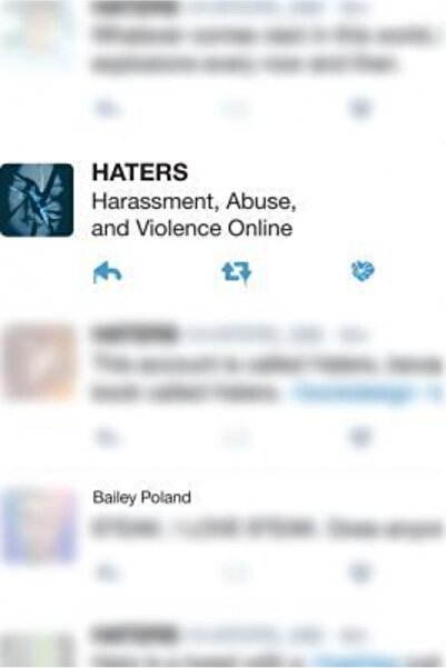 Kessinger Pub Llc Haters: Harassment, Abuse, and Violence Online