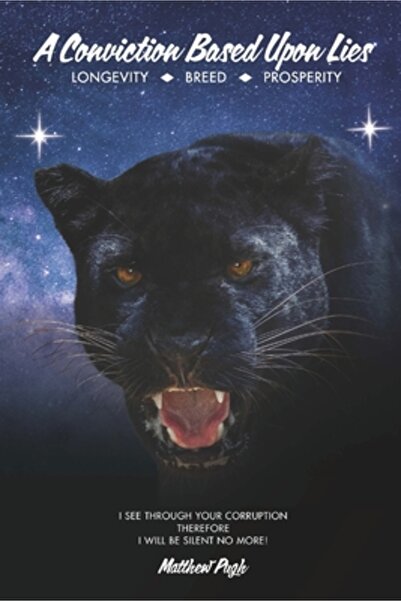 Hauser & Wirth Publ A Conviction Based Upon Lies