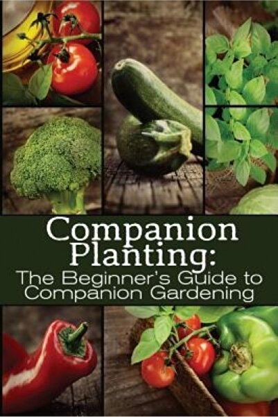 Cambridge Univ Pr Companion Planting: The Beginner's Guide to Companion Garde...