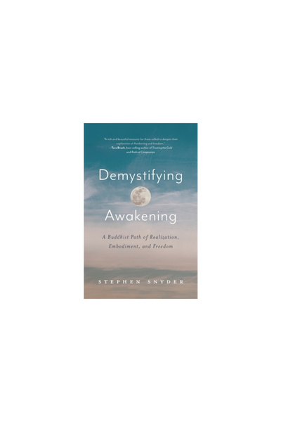 Chasing A Spider Pub Demystifying Awakening: A Buddhist Path of Realization, ...