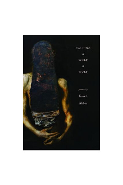 Alice James Books Calling a Wolf a Wolf