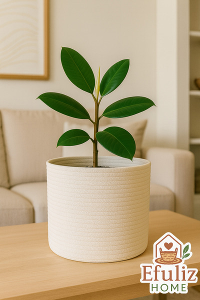 Efuliz Home Jute-Wicker Multi-Purpose-Decorative-Organizer Flower Pot Basket, Garden Organizer Basket. (Width:20-Length:15 cm)