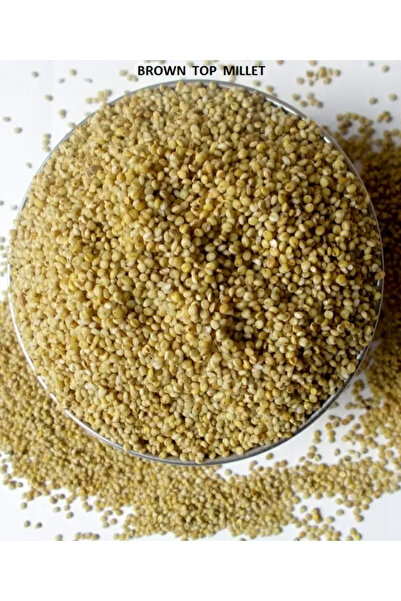 Chakra Natural Millet - Brown TopMillet 500g x 12