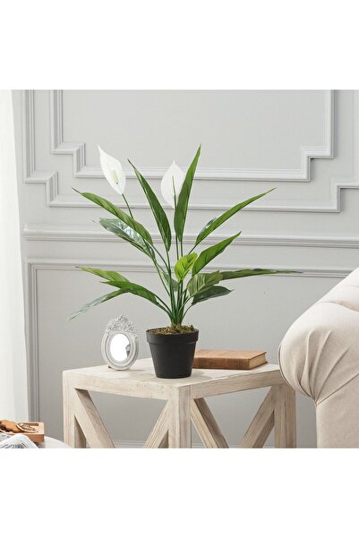 Madame Coco Broche Topfpflanze