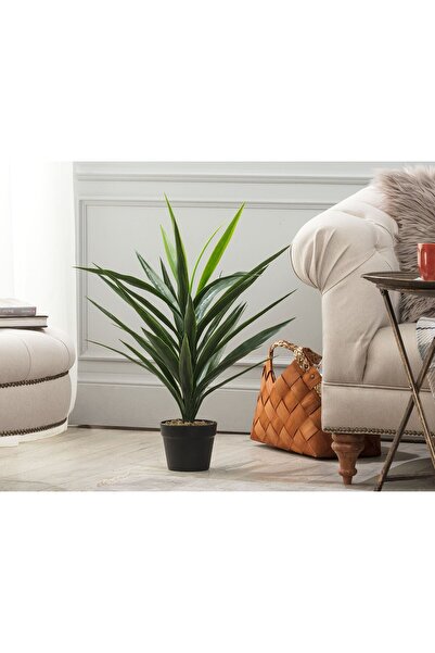 Madame Coco Grannier Topfpflanze