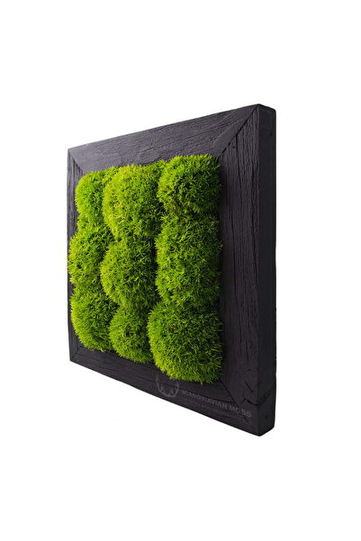 Narium Tablou din licheni stabilizati 25x25cm