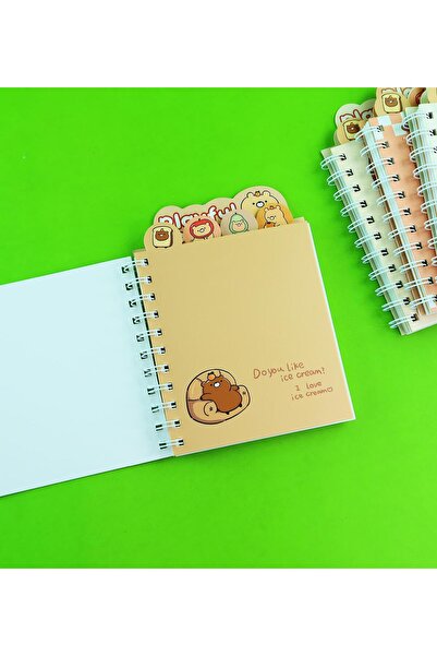 Gift Moda Capybara 4-Compartment Lined Notebook - Bm-1877
