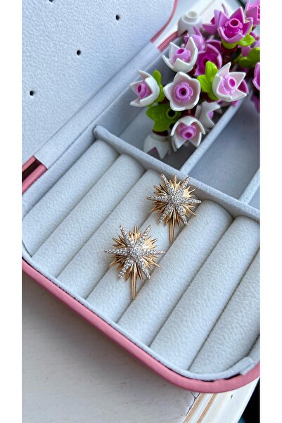 VELİT VOLA Xuping Special Design Pole Star Steel Earrings