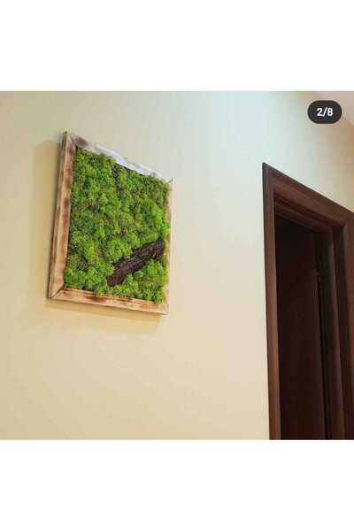 Narium Ramă din mușchi 30×30 cm