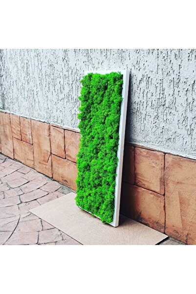 Narium Tablou cu licheni 70x30 cm