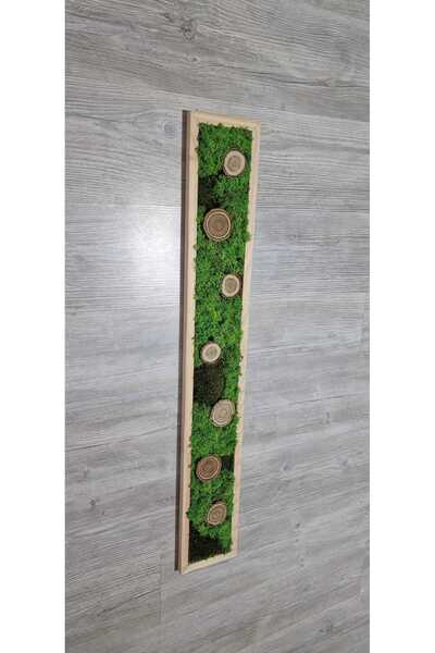 Narium Ramă decorativă din mușchi stabilizat 100×15 cm