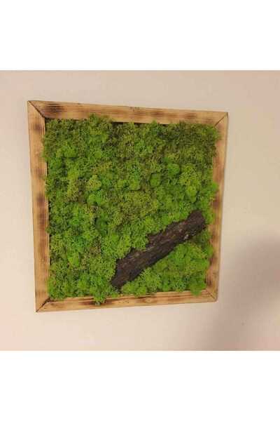 Narium Ramă din mușchi 30×30 cm
