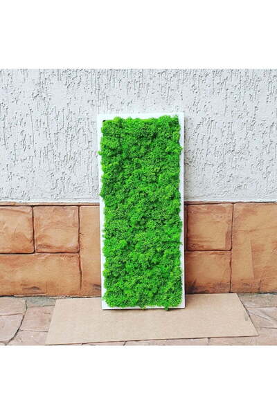 Narium Tablou cu licheni 70x30 cm