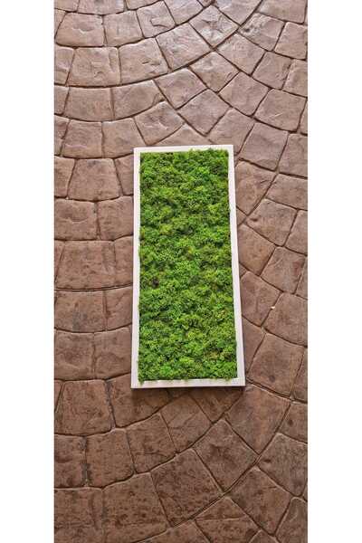 Narium Cadru din mușchi stabilizat 70×30 cm