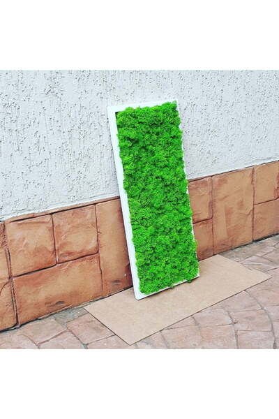 Narium Tablou cu licheni 70x30 cm