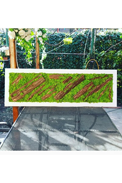 Narium Tablou cu licheni 100×30 cm