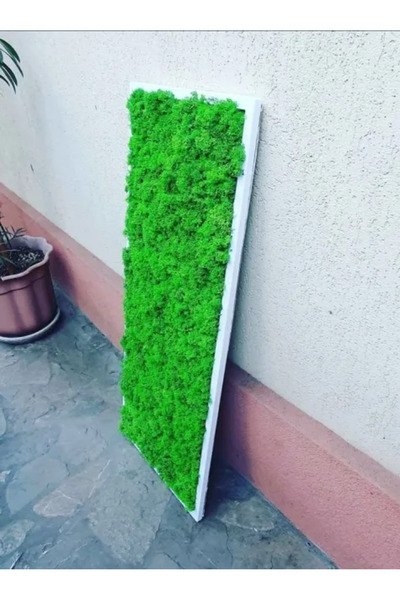 Narium Ramă Lichen 100×30 cm