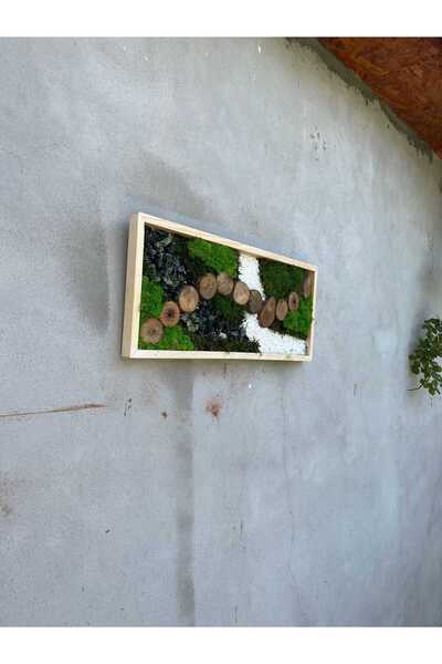 Narium Ramă din mușchi stabilizat 70x30 cm
