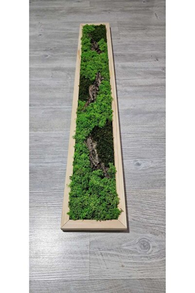 Narium Stabilized Moss Frame 100x15 cm