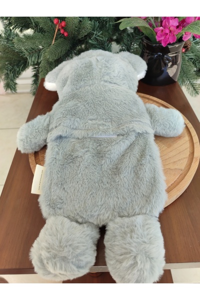 English Home PELUŞ KOALA SICAK SU TORBASI