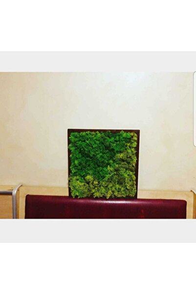 Narium Tablou cu licheni 30×30 cm