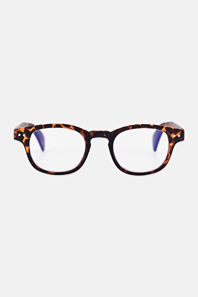 A & A Glasses Men WR-S6913S Round Reading Glasses, Havana