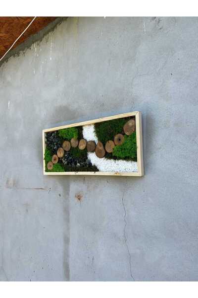 Narium Ramă din mușchi stabilizat 70x30 cm
